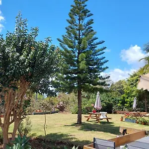 Viewpoint Machico - Lovely Nature View Appartement
